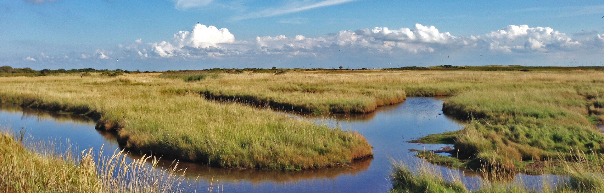 ferienwohnungen_baltrum_slider_home_002